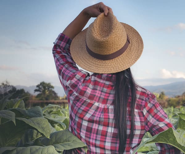  Fortalecendo o protagonismo feminino na mecanização agrícola: estratégias para impulsionar a igualdade de gênero