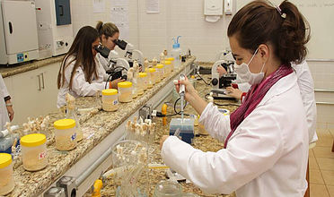 Alunas fazem experimentos