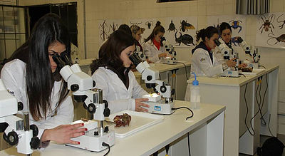 Alunos utilizando microscópios