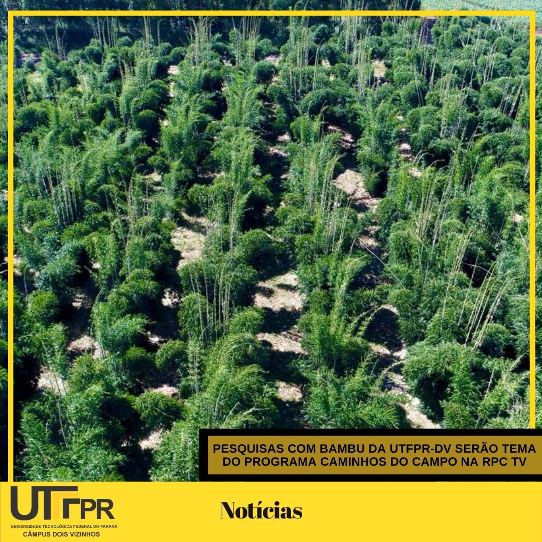 Pesquisas com bambu da UTFPR Câmpus Dois Vizinhos serão tema do programa Caminhos do Campo na RPC TV