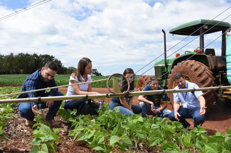 Fazenda experimental da UTFPR no Campus Dois Vizinhos (Foto: Decom)