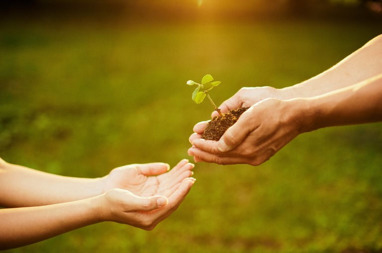 UTFPR realiza Semana da Sustentabilidade com ações integradas nos campi